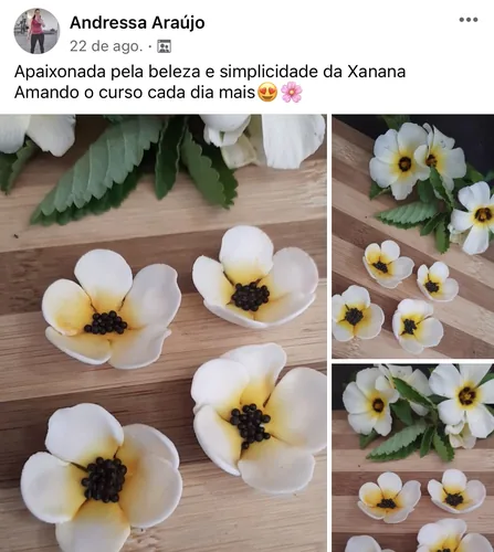 Depoimento da aluna Andressa Araújo encantada com a Xanana